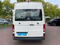 Volkswagen Crafter 35 Kasten L2H2/ Bluetooth, App, PDC, SHZ Weiß - thumbnail 5