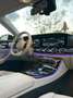 Mercedes-Benz E 300 Coupe d mhev Premium Plus Night Edition 4matic Gris - thumbnail 16