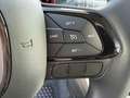 Fiat New Panda 1.0 70cv Hybrid Panda My25 KM0 Noir - thumbnail 19