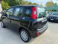 Fiat New Panda 1.0 70cv Hybrid Panda My25 KM0 Noir - thumbnail 3