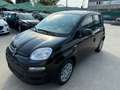 Fiat New Panda 1.0 70cv Hybrid Panda My25 KM0 Noir - thumbnail 12