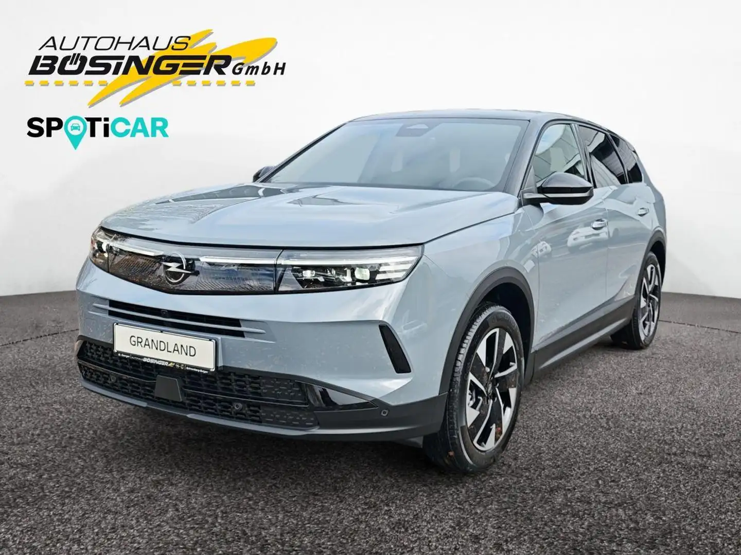 Opel Grandland GS 1.2MHEV Pano/Leder/HUD/KAM-PDC/AHK Grau - 2