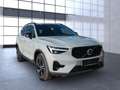 Volvo XC40 XC 40 Plus Dark 2WD Bluetooth LED Klima Grau - thumbnail 5