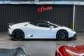 Lamborghini Huracán LP 610-4 Spyder Blanc - thumbnail 11