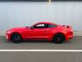 Ford Mustang Mustang 2.3 EcoBoost Face lift 290 cv - Boite aut Rouge - thumbnail 21