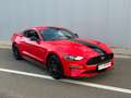 Ford Mustang Mustang 2.3 EcoBoost Face lift 290 cv - Boite aut Rouge - thumbnail 1