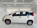 Fiat Panda Panda 1.2 Easy s Bianco - thumbnail 5