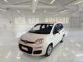 Fiat Panda Panda 1.2 Easy s Bianco - thumbnail 1