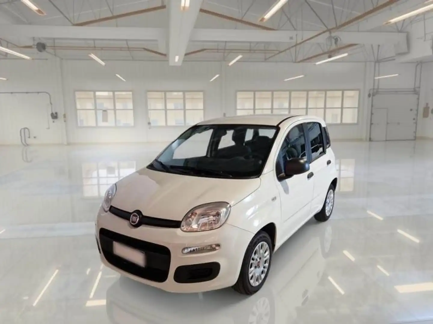Fiat Panda Panda 1.2 Easy s Bianco - 1