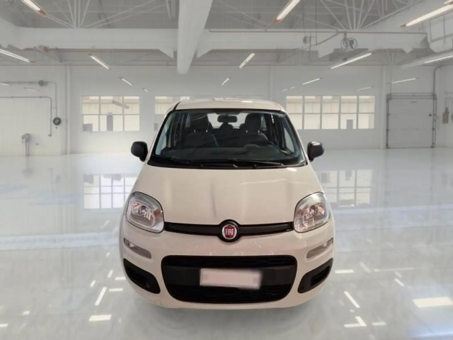 Fiat Panda Panda 1.2 Easy s Bianco - 2