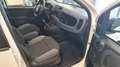 Fiat Panda Panda 1.2 Easy s Blanc - thumbnail 15