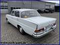 Mercedes-Benz 230 S W111 * Bildschön * Geringe Laufleistung * Alb - thumbnail 5
