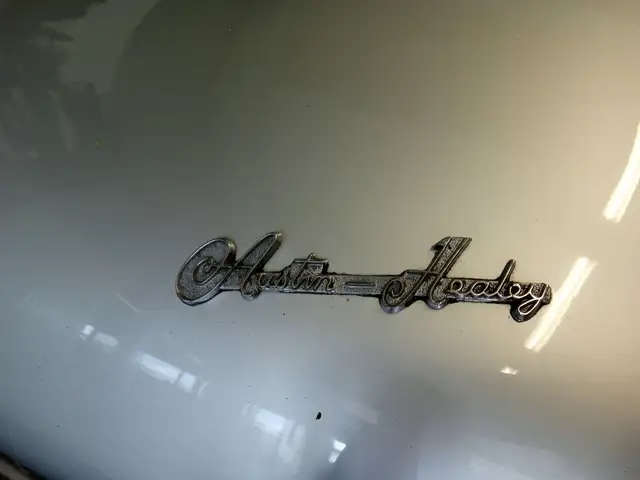 Austin Healey view 11