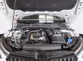 Skoda Kamiq 1.0 tsi style 115cv Bianco - thumbnail 10