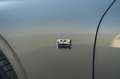 Bentley Continental GTC 6.0 BiTurbo W12 First Edition Mulliner Niam Gri - thumbnail 11