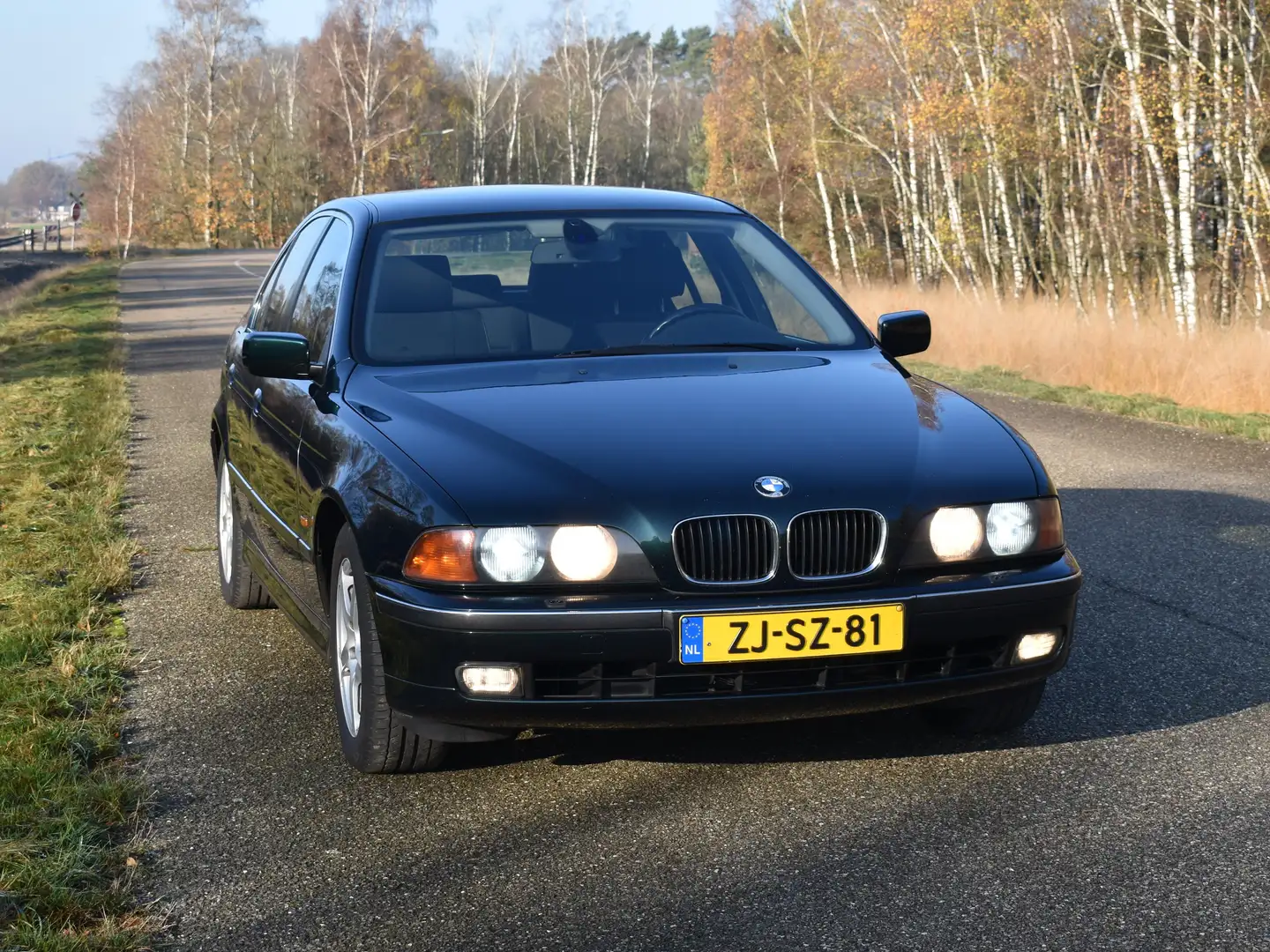 BMW 528 528i Executive Groen - 1