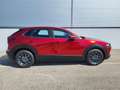 Mazda CX-30 e-Skyactive G140 Prime-Line Rot - thumbnail 3