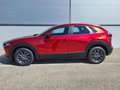 Mazda CX-30 e-Skyactive G140 Prime-Line Rot - thumbnail 4