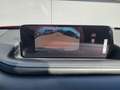 Mazda CX-30 e-Skyactive G140 Prime-Line Rot - thumbnail 16