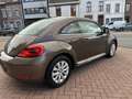 Volkswagen Beetle Beetle 1.2 TSI Design Sièges Chauffants Airco Brun - thumbnail 7