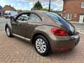Volkswagen Beetle Beetle 1.2 TSI Design Sièges Chauffants Airco Brun - thumbnail 4