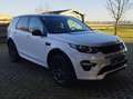 Land Rover Discovery Sport Discovery Sport SD4 HSE Weiß - thumbnail 4