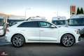 Audi Q8 50 TDI quattro S-LINE Weiß - thumbnail 7