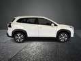 Suzuki Sonstige S-Cross 1.4 ALLGRIP Comfort+ M/T Weiß - thumbnail 4