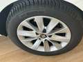 SEAT Leon Leon III 2017 1.6 tdi Style 115cv Bianco - thumbnail 15