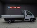 Fiat Ducato Dreiseitenkipper 35 Maxi L3 130 Weiß - thumbnail 7