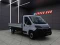 Fiat Ducato Dreiseitenkipper 35 Maxi L3 130 Weiß - thumbnail 8