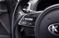 Kia Sportage 1.6 CRDI 115 CV 2WD Mild Hybrid Business Class Grigio - thumbnail 15