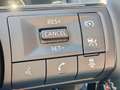 Nissan Qashqai Mild-Hybrid 158 Acenta Xtronic + Cold Pack Argento - thumbnail 14