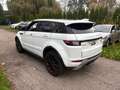 Land Rover Range Rover Evoque 2.0 TD4 Pure Motor Kapot!!! DUITS Weiß - thumbnail 3