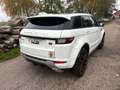 Land Rover Range Rover Evoque 2.0 TD4 Pure Motor Kapot!!! DUITS Blanc - thumbnail 4