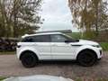 Land Rover Range Rover Evoque 2.0 TD4 Pure Motor Kapot!!! DUITS Blanc - thumbnail 7