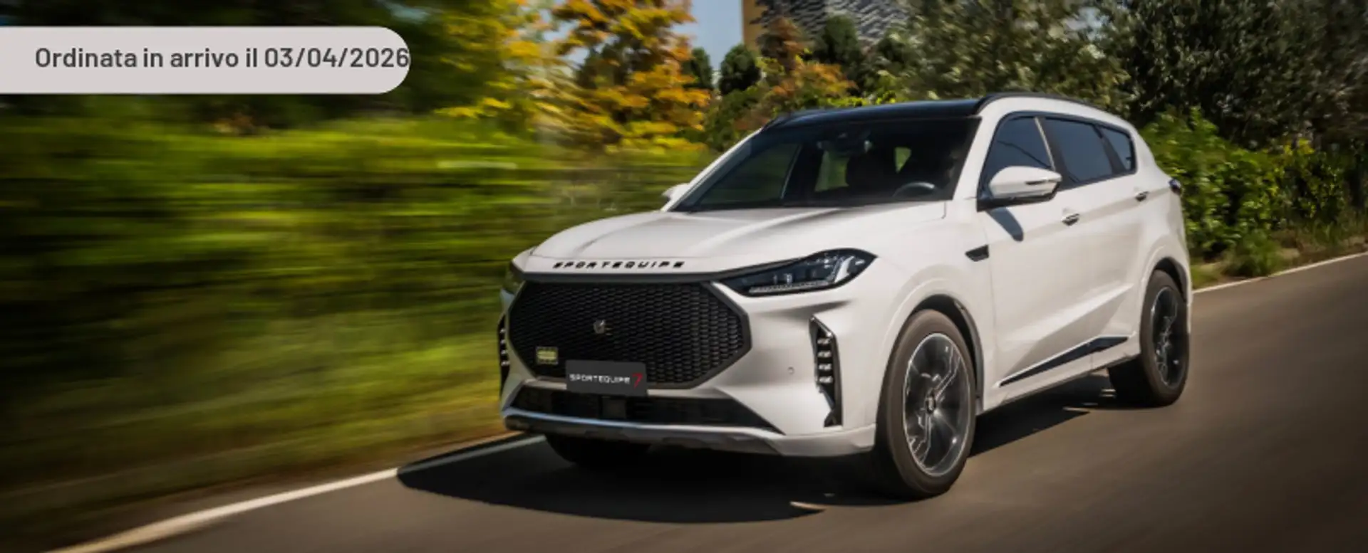 Sportequipe Sportequipe 7 1.5 Turbo DCT GPL Zilver - 2