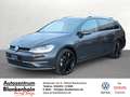 Volkswagen Golf Variant VII 1,5 TSI DSG LED*ACC*Navi*PanoD. Grau - thumbnail 1