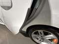 Ford Focus 1.0 Ecoboost 125cv B&R Blanco - thumbnail 11