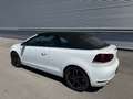 Volkswagen Golf Cabriolet 1,4 TSI DSG Exclusive ID:86 Weiß - thumbnail 11