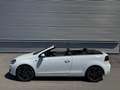 Volkswagen Golf Cabriolet 1,4 TSI DSG Exclusive ID:86 Weiß - thumbnail 4