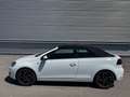 Volkswagen Golf Cabriolet 1,4 TSI DSG Exclusive ID:86 Weiß - thumbnail 10