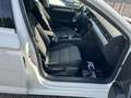 Volkswagen Passat Variant Business+StHzg+ACC+Pano+Massage Weiß - thumbnail 11