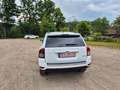 Jeep Compass Limited 4x4-ALLRAD-AUTOMATIK-TOPZUSTAND Weiß - thumbnail 4