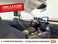 Ford Kuga 1.5 ecoblue titanium 2wd 120cv Gris - thumbnail 6