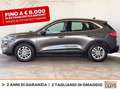 Ford Kuga 1.5 ecoblue titanium 2wd 120cv Gris - thumbnail 3