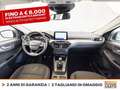 Ford Kuga 1.5 ecoblue titanium 2wd 120cv Gris - thumbnail 10