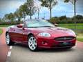 Jaguar XK 4.2 V8 Convertible / YOUNGTIMER / FULL SERVICE FIL Red - thumbnail 6