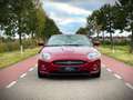 Jaguar XK 4.2 V8 Convertible / YOUNGTIMER / FULL SERVICE FIL Red - thumbnail 3