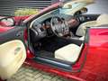 Jaguar XK 4.2 V8 Convertible / YOUNGTIMER / FULL SERVICE FIL Rood - thumbnail 25